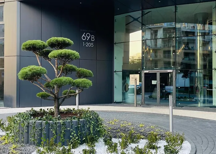 Pops كراكوفيا